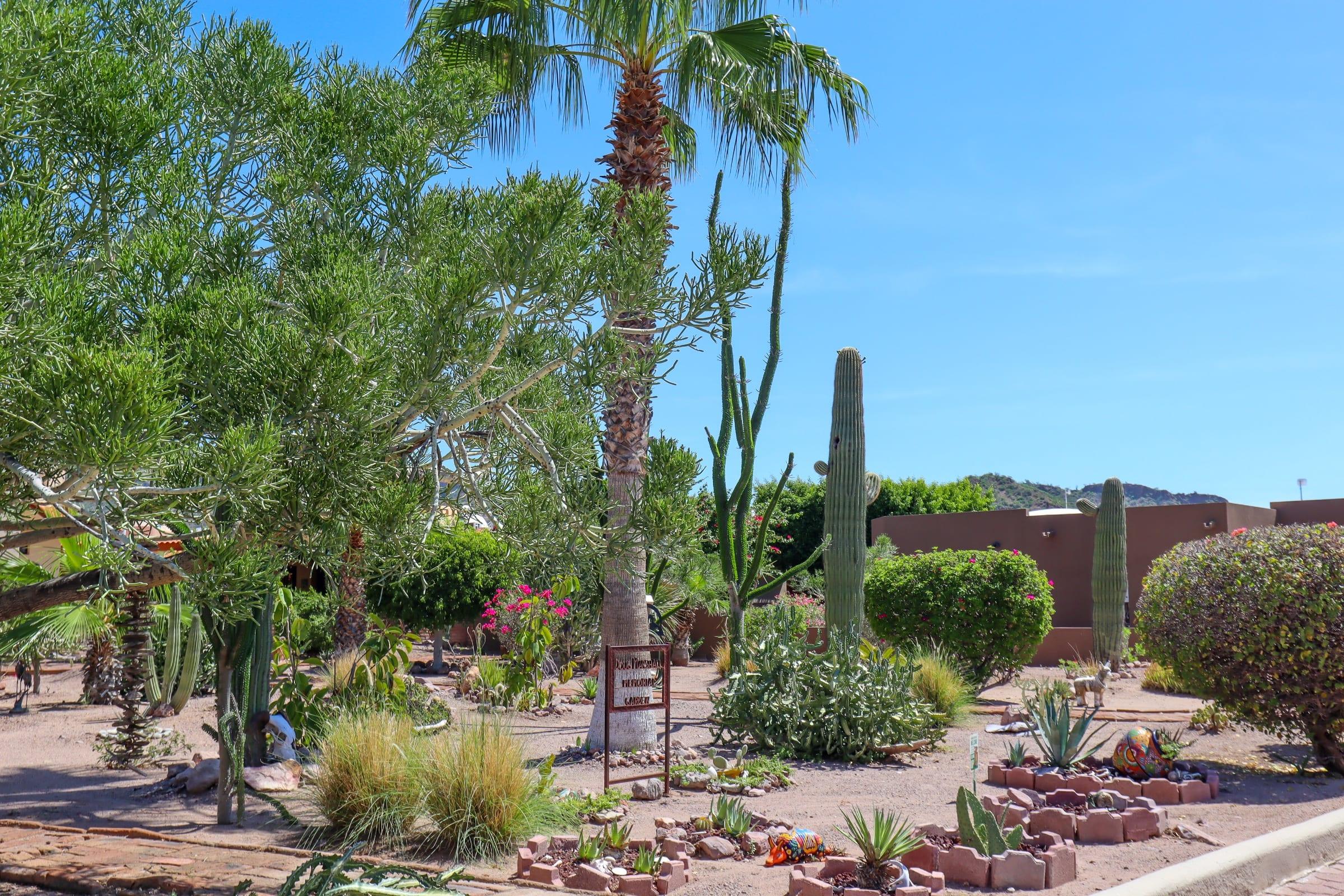 Bougainvillea-lined street with mountain views at Loma del Mar
